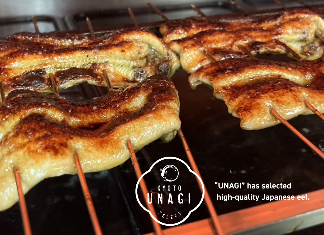 美味しそうなうなぎ弁当